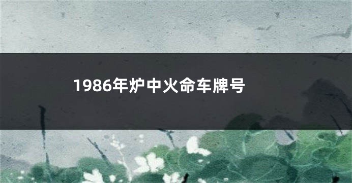 1986年炉中火命车牌号