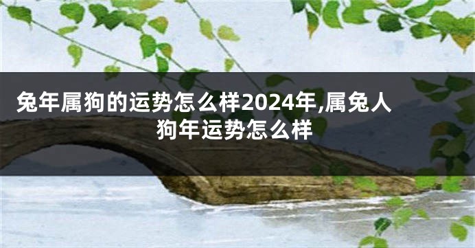 兔年属狗的运势怎么样2024年,属兔人狗年运势怎么样