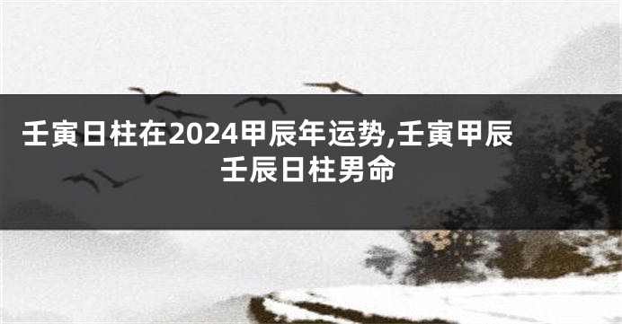 壬寅日柱在2024甲辰年运势,壬寅甲辰壬辰日柱男命