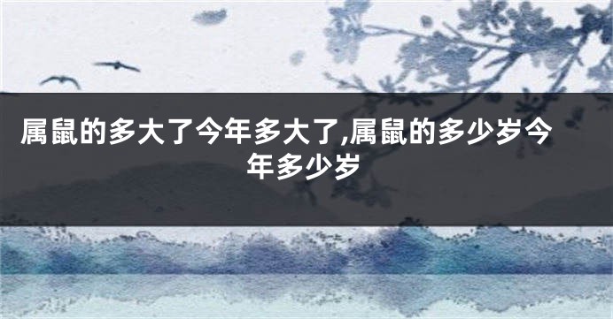 属鼠的多大了今年多大了,属鼠的多少岁今年多少岁