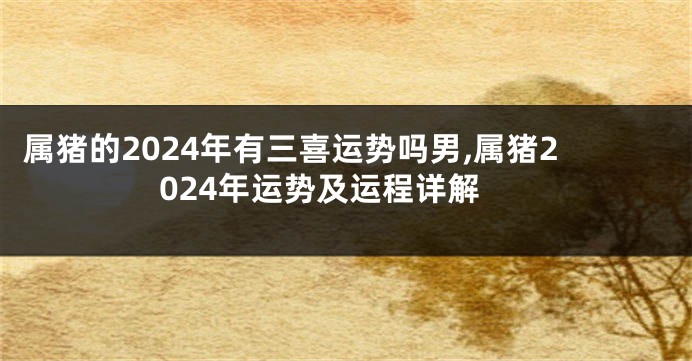 属猪的2024年有三喜运势吗男,属猪2024年运势及运程详解