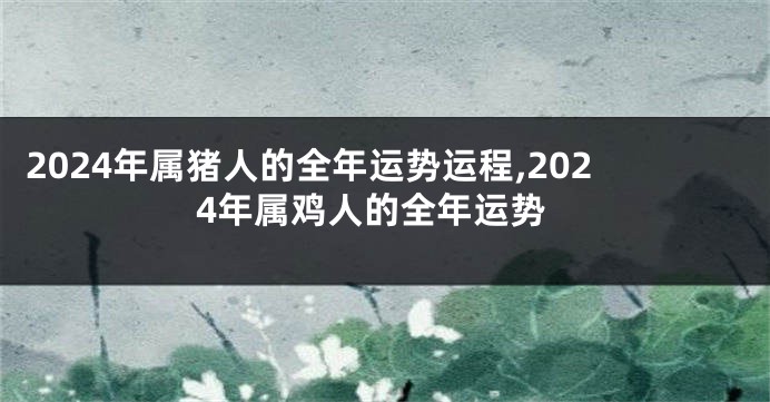 2024年属猪人的全年运势运程,2024年属鸡人的全年运势