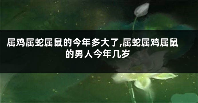 属鸡属蛇属鼠的今年多大了,属蛇属鸡属鼠的男人今年几岁