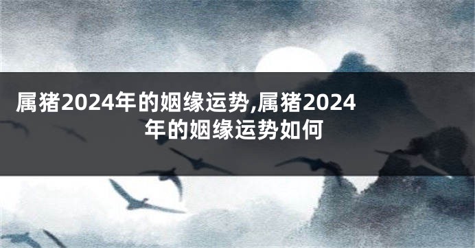 属猪2024年的姻缘运势,属猪2024年的姻缘运势如何