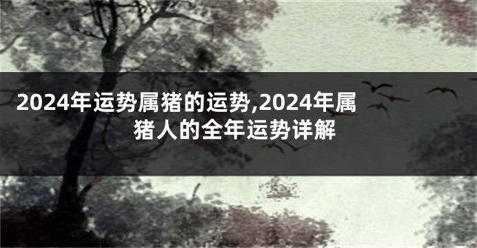 2024年运势属猪的运势,2024年属猪人的全年运势详解