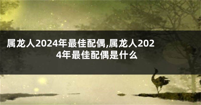 属龙人2024年最佳配偶,属龙人2024年最佳配偶是什么