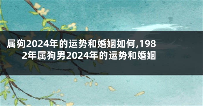 属狗2024年的运势和婚姻如何,1982年属狗男2024年的运势和婚姻