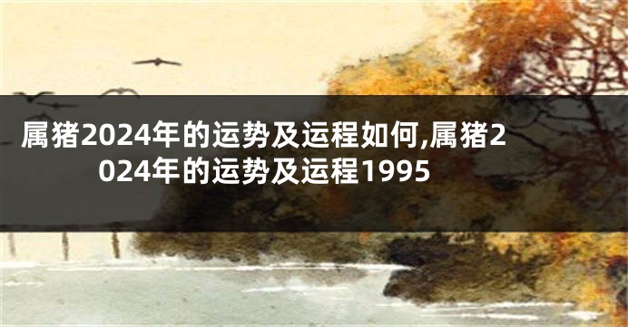 属猪2024年的运势及运程如何,属猪2024年的运势及运程1995