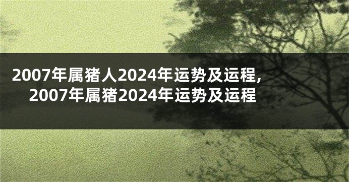 2007年属猪人2024年运势及运程,2007年属猪2024年运势及运程