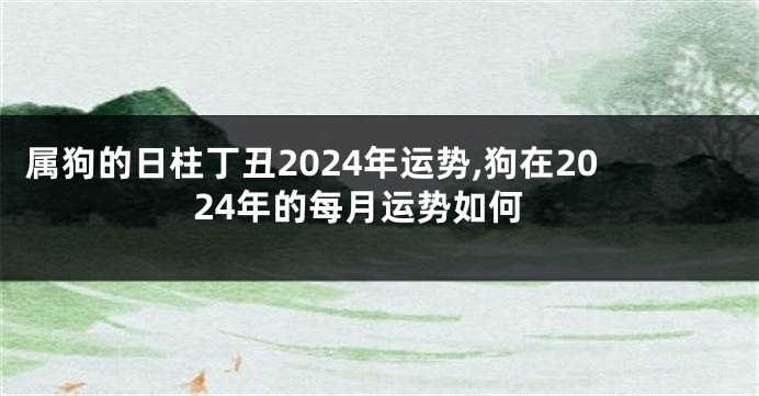 属狗的日柱丁丑2024年运势,狗在2024年的每月运势如何