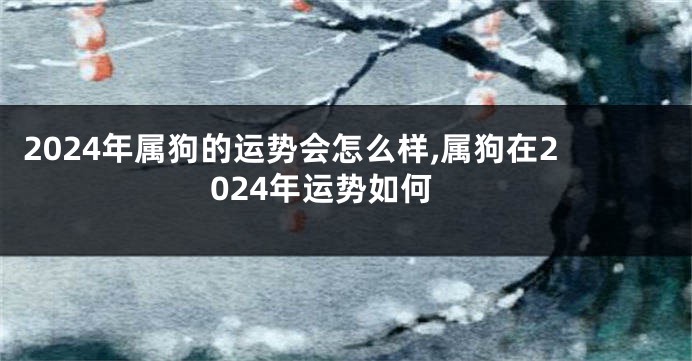 2024年属狗的运势会怎么样,属狗在2024年运势如何