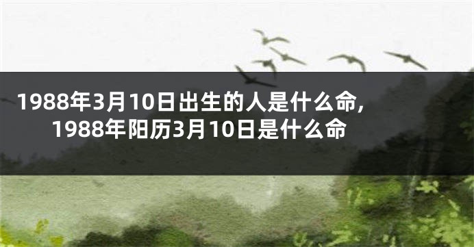 1988年3月10日出生的人是什么命,1988年阳历3月10日是什么命