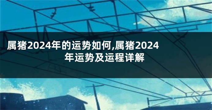 属猪2024年的运势如何,属猪2024年运势及运程详解