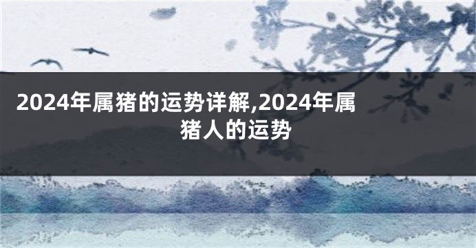 2024年属猪的运势详解,2024年属猪人的运势