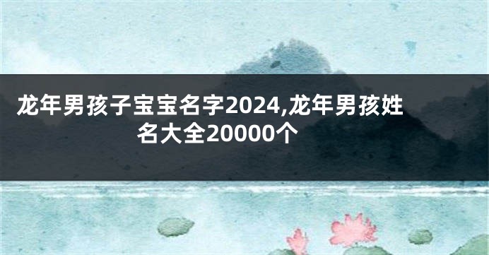 龙年男孩子宝宝名字2024,龙年男孩姓名大全20000个