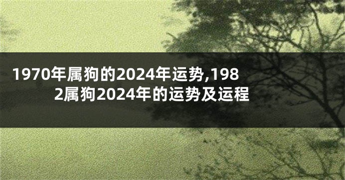 1970年属狗的2024年运势,1982属狗2024年的运势及运程