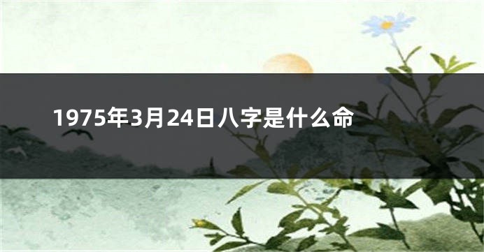 1975年3月24日八字是什么命