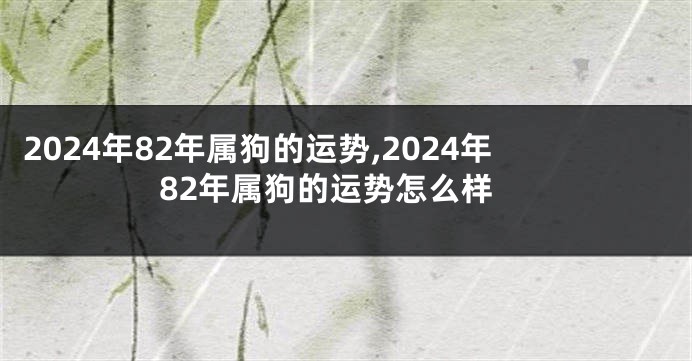 2024年82年属狗的运势,2024年82年属狗的运势怎么样