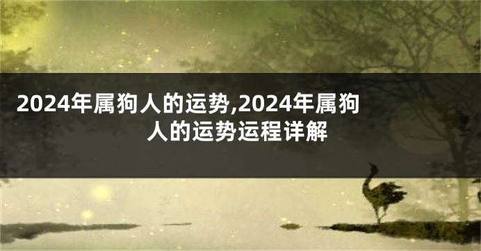 2024年属狗人的运势,2024年属狗人的运势运程详解