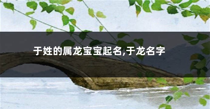 于姓的属龙宝宝起名,于龙名字