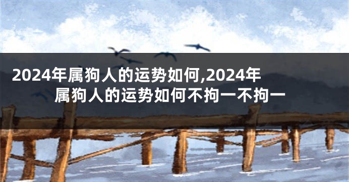 2024年属狗人的运势如何,2024年属狗人的运势如何不拘一不拘一