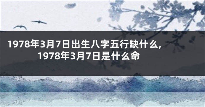 1978年3月7日出生八字五行缺什么,1978年3月7日是什么命