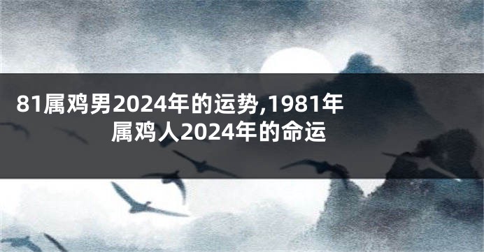 81属鸡男2024年的运势,1981年属鸡人2024年的命运