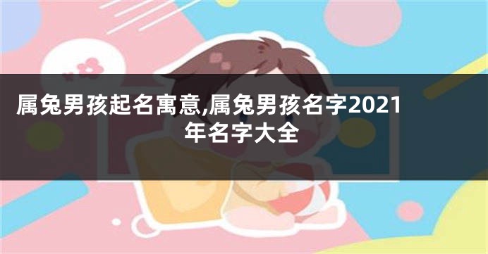 属兔男孩起名寓意,属兔男孩名字2021年名字大全