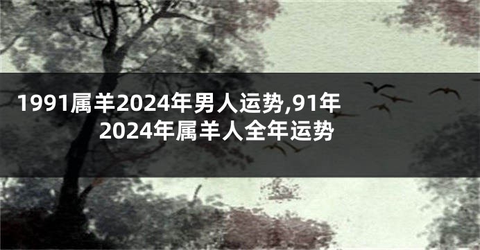 1991属羊2024年男人运势,91年2024年属羊人全年运势