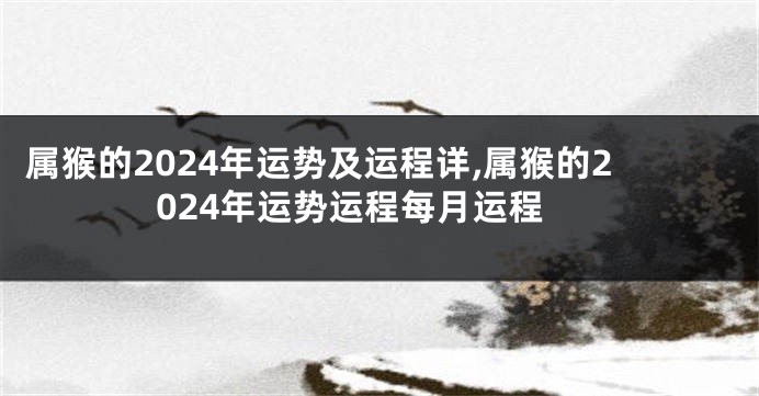 属猴的2024年运势及运程详,属猴的2024年运势运程每月运程