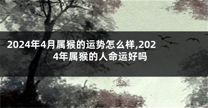 2024年4月属猴的运势怎么样,2024年属猴的人命运好吗