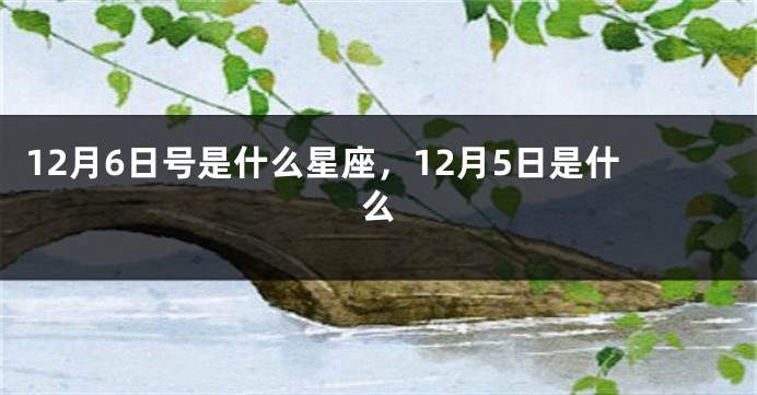 12月6日号是什么星座，12月5日是什么