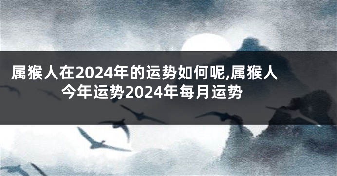 属猴人在2024年的运势如何呢,属猴人今年运势2024年每月运势