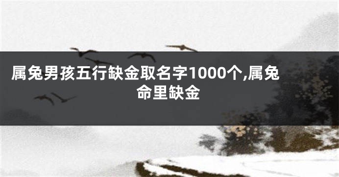 属兔男孩五行缺金取名字1000个,属兔命里缺金