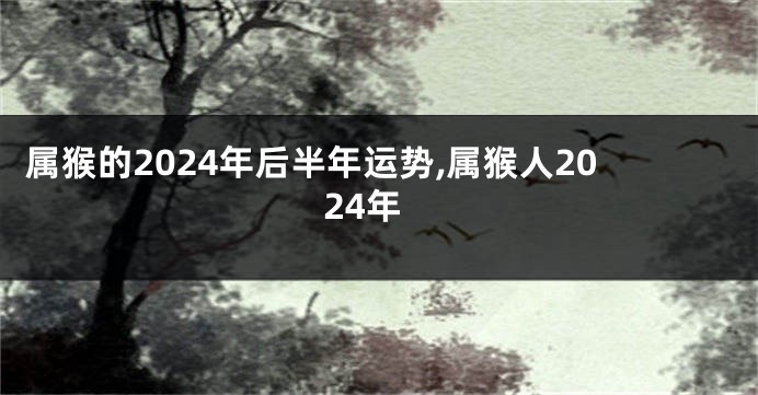 属猴的2024年后半年运势,属猴人2024年