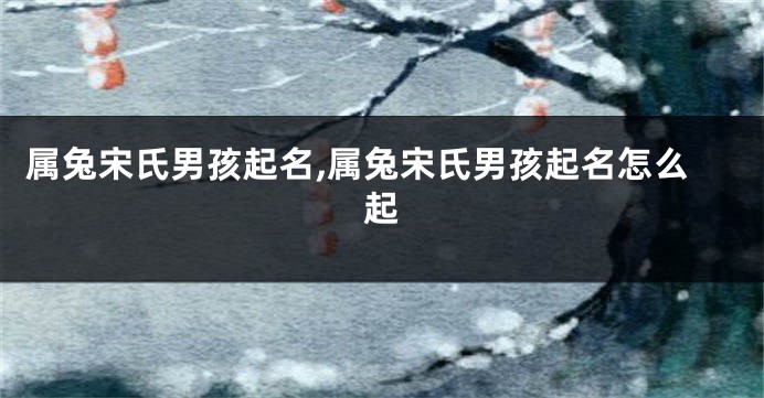 属兔宋氏男孩起名,属兔宋氏男孩起名怎么起