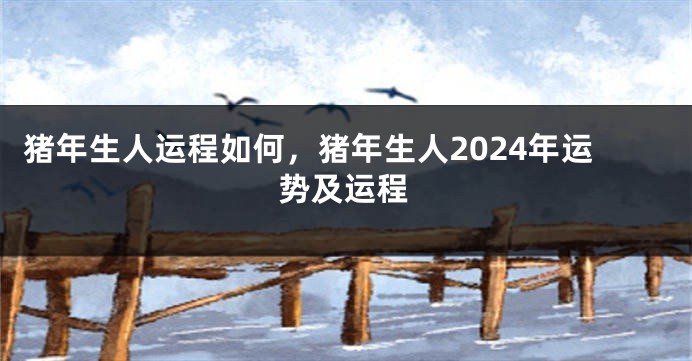 猪年生人运程如何，猪年生人2024年运势及运程