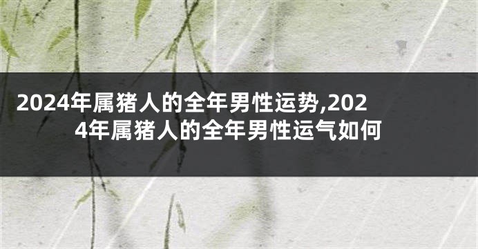 2024年属猪人的全年男性运势,2024年属猪人的全年男性运气如何