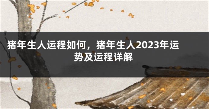 猪年生人运程如何，猪年生人2023年运势及运程详解