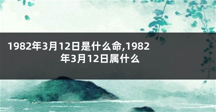 1982年3月12日是什么命,1982年3月12日属什么