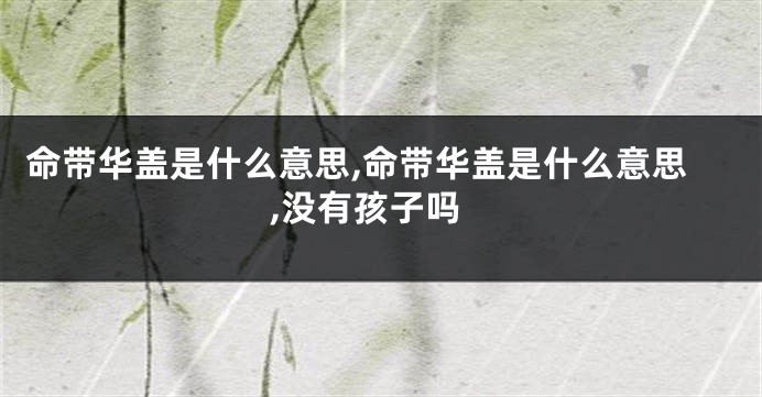 命带华盖是什么意思,命带华盖是什么意思,没有孩子吗