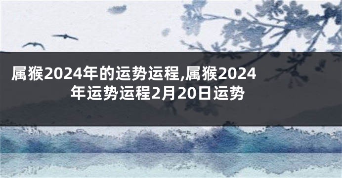 属猴2024年的运势运程,属猴2024年运势运程2月20日运势