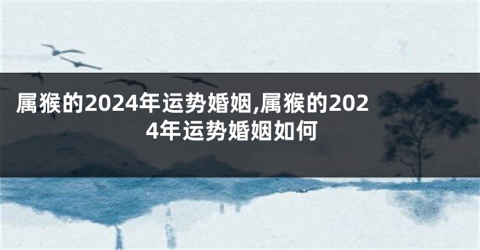 属猴的2024年运势婚姻,属猴的2024年运势婚姻如何