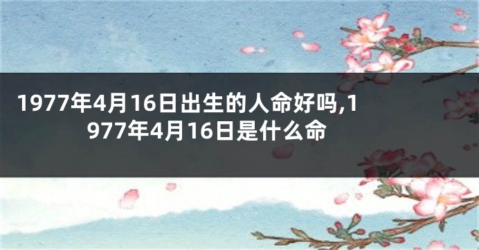 1977年4月16日出生的人命好吗,1977年4月16日是什么命