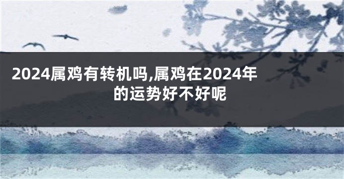 2024属鸡有转机吗,属鸡在2024年的运势好不好呢