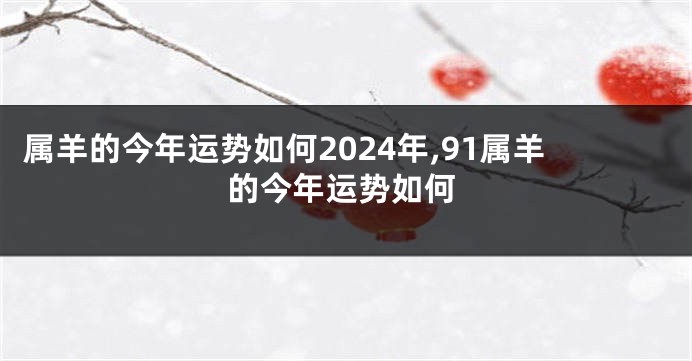 属羊的今年运势如何2024年,91属羊的今年运势如何