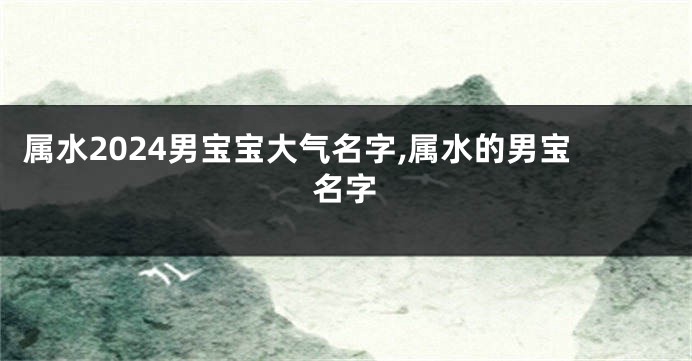 属水2024男宝宝大气名字,属水的男宝名字