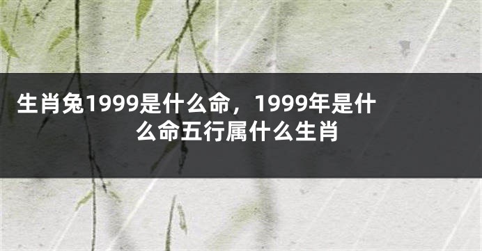 生肖兔1999是什么命，1999年是什么命五行属什么生肖