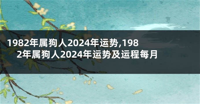 1982年属狗人2024年运势,1982年属狗人2024年运势及运程每月