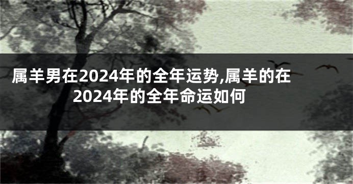 属羊男在2024年的全年运势,属羊的在2024年的全年命运如何